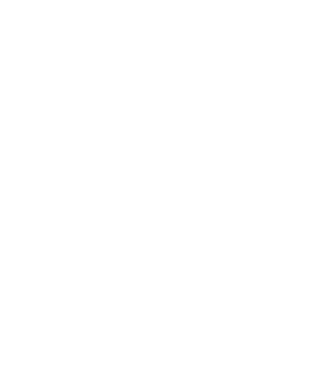 AUDIENCENT