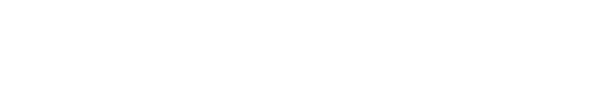 AUDIENCENT
